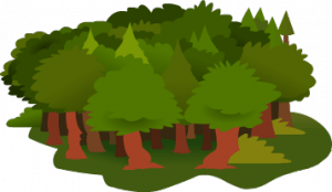 bosque