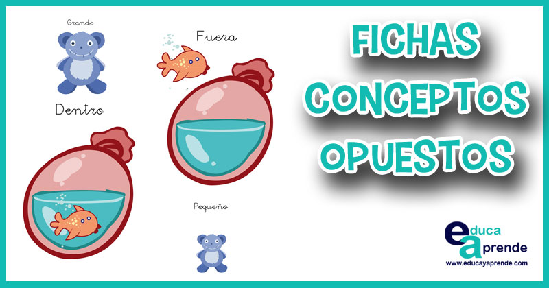 fichas conceptos opuestos, conceptos básicos